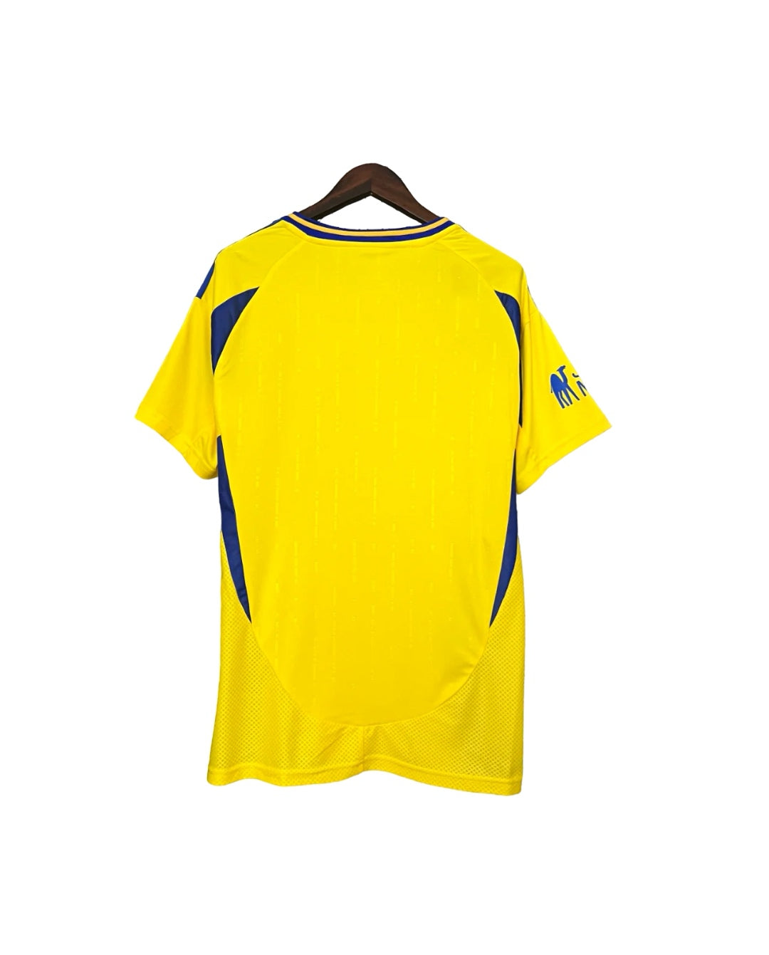 Al-Nassr home 24/25